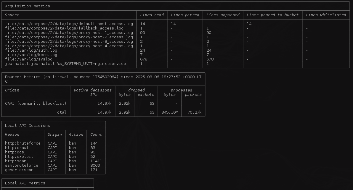 Monitoring and Securing My Web Server with ntopng and CrowdSec